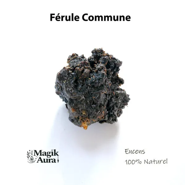 résine de férule commune